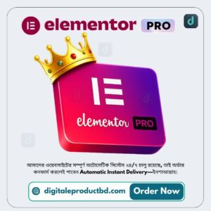 Elementor Pro - WordPress প্রিমিয়াম প্লাগইন লাইফটাইম মেয়াদে